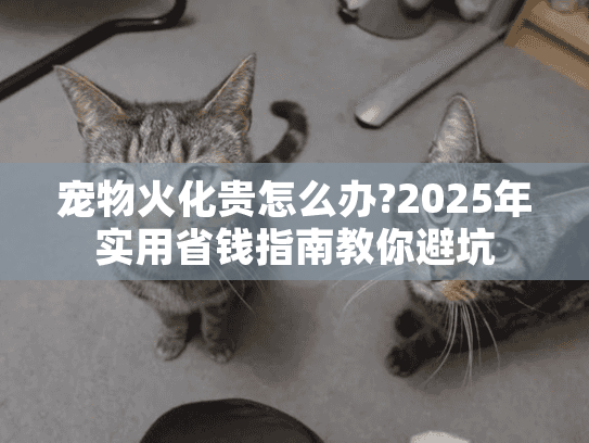 宠物火化贵怎么办?2025年实用省钱指南教你避坑