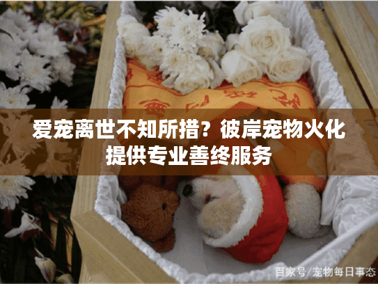 爱宠离世不知所措？彼岸宠物火化提供专业善终服务