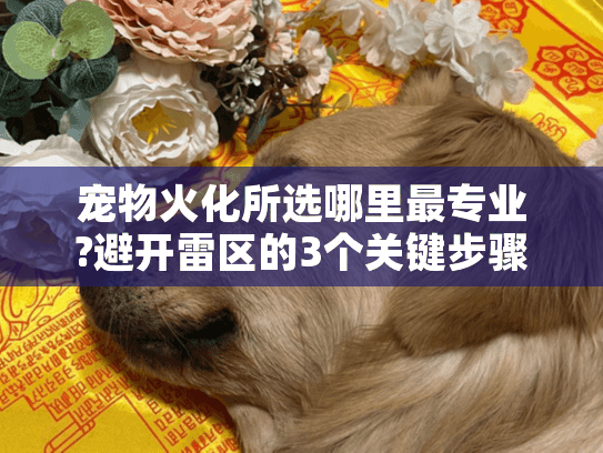 宠物火化所选哪里最专业?避开雷区的3个关键步骤