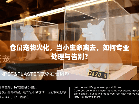 仓鼠宠物火化，当小生命离去，如何专业处理与告别？