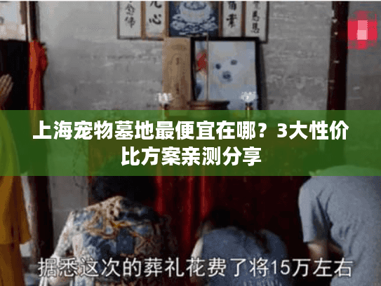 上海宠物墓地最便宜在哪？3大性价比方案亲测分享