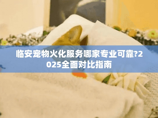 临安宠物火化服务哪家专业可靠?2025全面对比指南