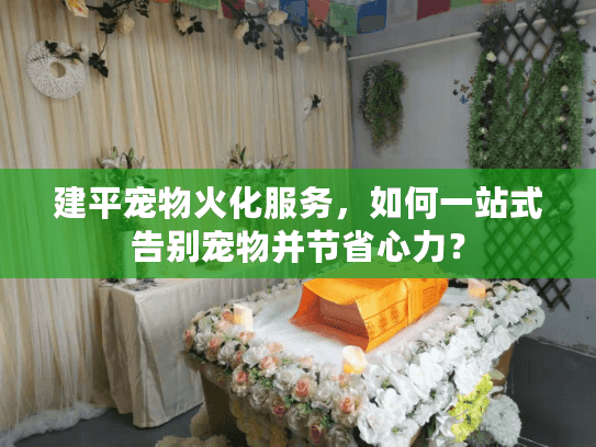 建平宠物火化服务，如何一站式告别宠物并节省心力？