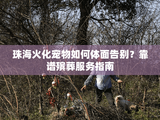 珠海火化宠物如何体面告别？靠谱殡葬服务指南