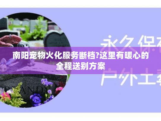 南阳宠物火化服务断档?这里有暖心的全程送别方案