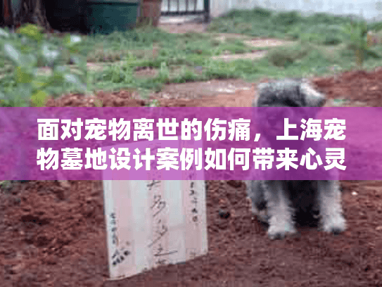 面对宠物离世的伤痛，上海宠物墓地设计案例如何带来心灵安慰？