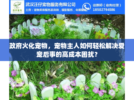 政府火化宠物，宠物主人如何轻松解决爱宠后事的高成本困扰？