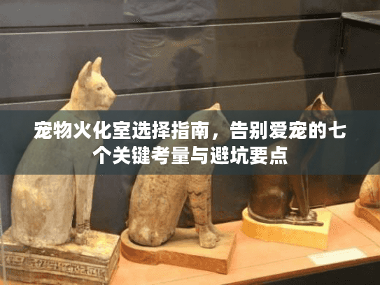 宠物火化室选择指南，告别爱宠的七个关键考量与避坑要点