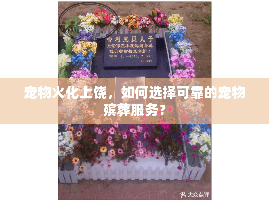 宠物火化上饶，如何选择可靠的宠物殡葬服务？