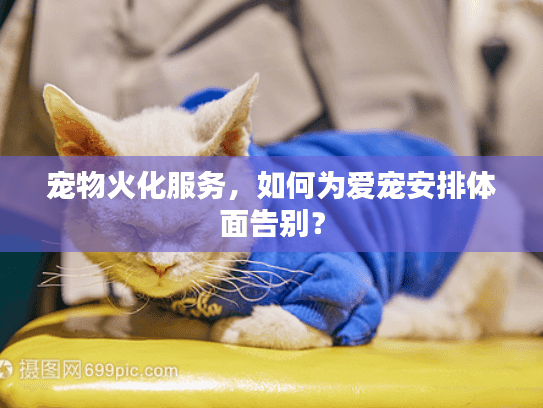 宠物火化服务，如何为爱宠安排体面告别？