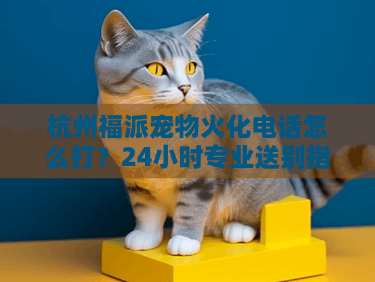 杭州福派宠物火化电话怎么打？24小时专业送别指南