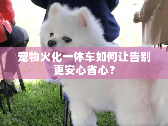 宠物火化一体车如何让告别更安心省心？
