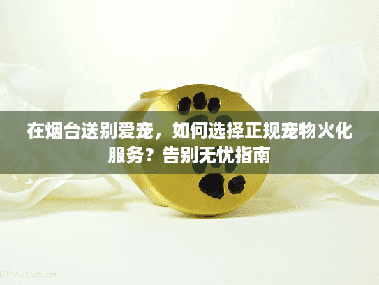 在烟台送别爱宠，如何选择正规宠物火化服务？告别无忧指南