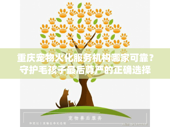 重庆宠物火化服务机构哪家可靠？守护毛孩子最后尊严的正确选择