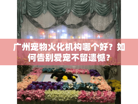 广州宠物火化机构哪个好？如何告别爱宠不留遗憾？
