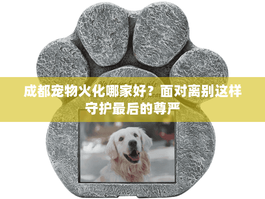 成都宠物火化哪家好？面对离别这样守护最后的尊严
