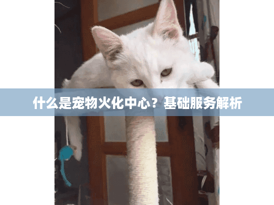 什么是宠物火化中心？基础服务解析