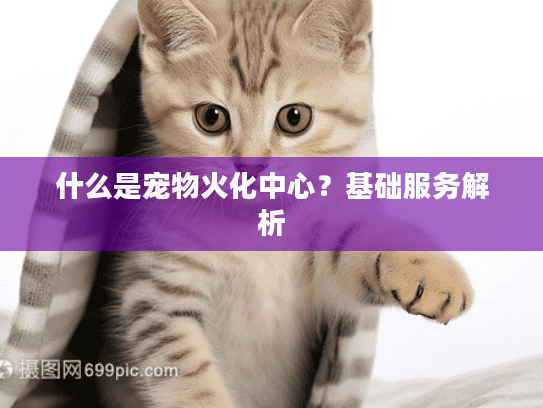 什么是宠物火化中心？基础服务解析