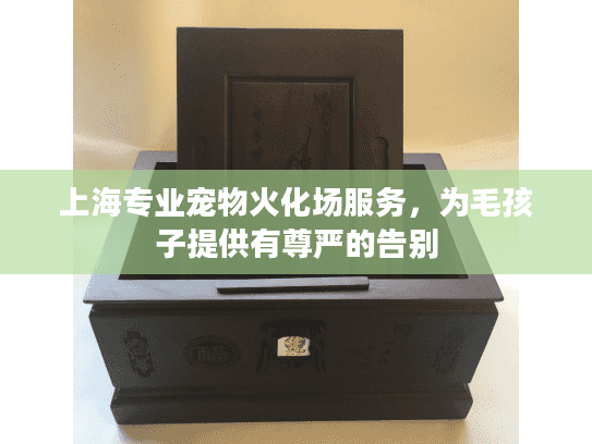 上海专业宠物火化场服务，为毛孩子提供有尊严的告别