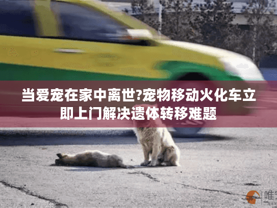 当爱宠在家中离世?宠物移动火化车立即上门解决遗体转移难题