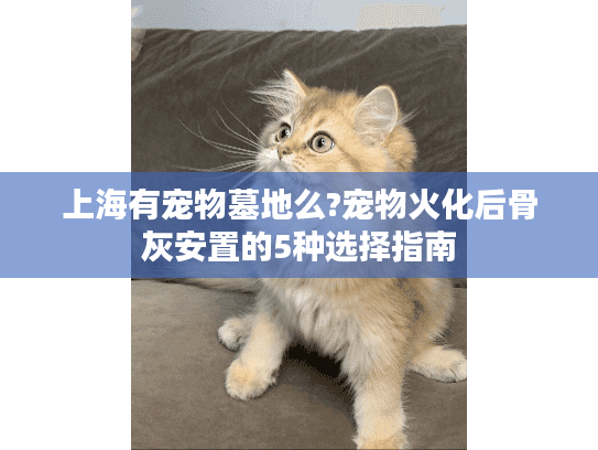 上海有宠物墓地么?宠物火化后骨灰安置的5种选择指南
