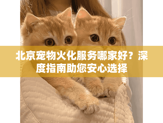 北京宠物火化服务哪家好？深度指南助您安心选择
