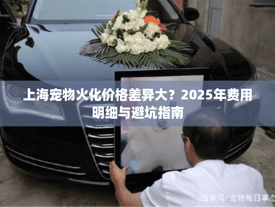 上海宠物火化价格差异大？2025年费用明细与避坑指南