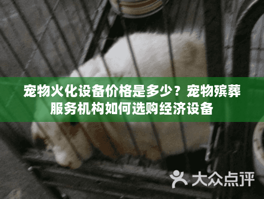 宠物火化设备价格是多少？宠物殡葬服务机构如何选购经济设备