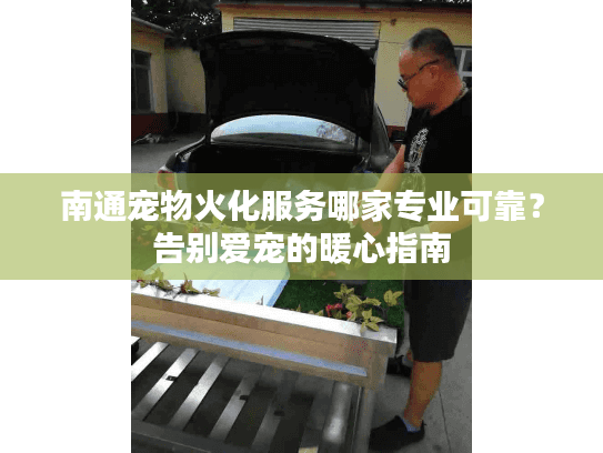 南通宠物火化服务哪家专业可靠？告别爱宠的暖心指南