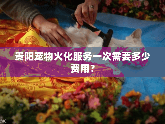 贵阳宠物火化服务一次需要多少费用？