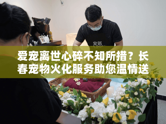 爱宠离世心碎不知所措？长春宠物火化服务助您温情送别