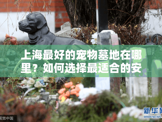 上海最好的宠物墓地在哪里？如何选择最适合的安息地？