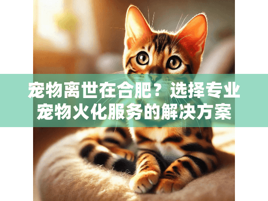 宠物离世在合肥？选择专业宠物火化服务的解决方案