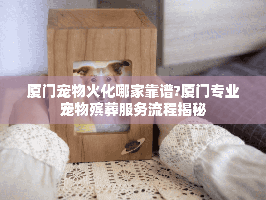 厦门宠物火化哪家靠谱?厦门专业宠物殡葬服务流程揭秘