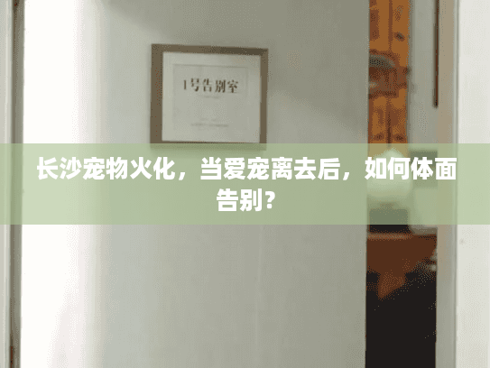 长沙宠物火化，当爱宠离去后，如何体面告别？