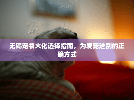无锡宠物火化选择指南，为爱宠送别的正确方式