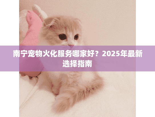 南宁宠物火化服务哪家好？2025年最新选择指南