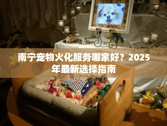 南宁宠物火化服务哪家好？2025年最新选择指南