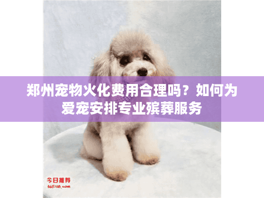 郑州宠物火化费用合理吗？如何为爱宠安排专业殡葬服务