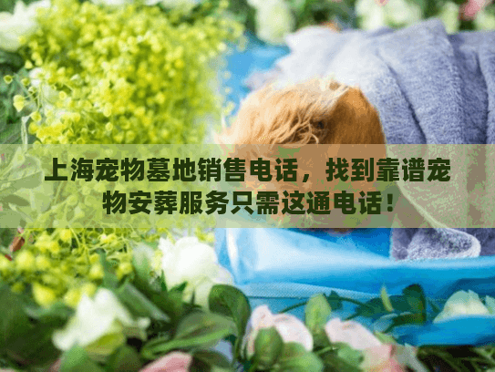 上海宠物墓地销售电话，找到靠谱宠物安葬服务只需这通电话！