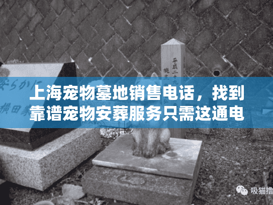 上海宠物墓地销售电话，找到靠谱宠物安葬服务只需这通电话！