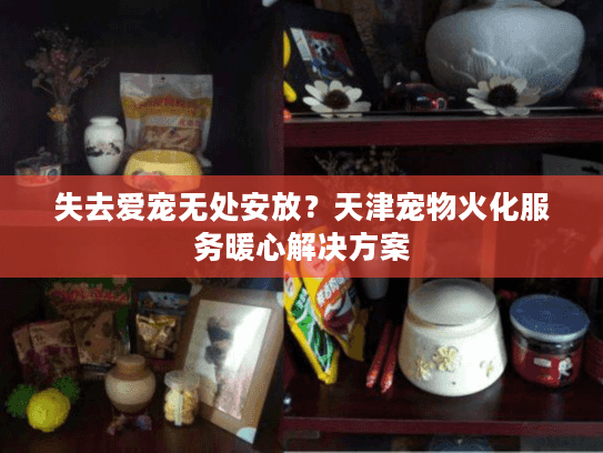 失去爱宠无处安放？天津宠物火化服务暖心解决方案