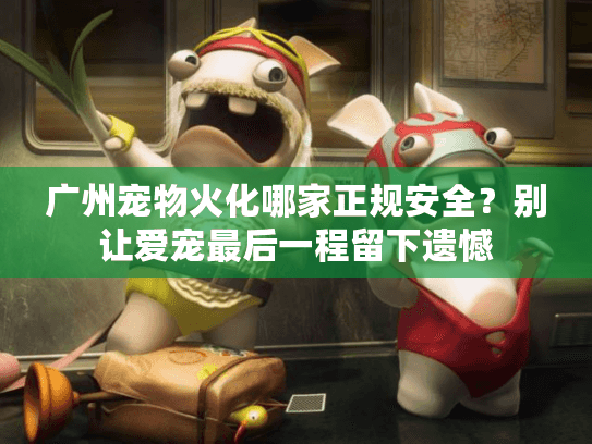 广州宠物火化哪家正规安全？别让爱宠最后一程留下遗憾