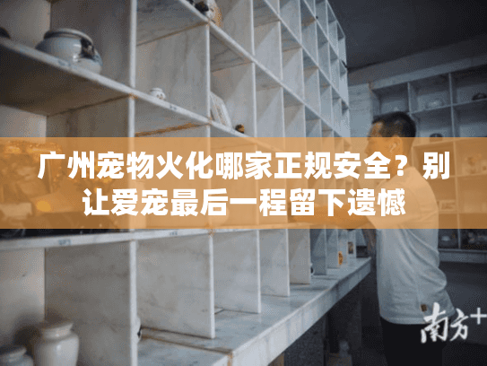 广州宠物火化哪家正规安全？别让爱宠最后一程留下遗憾