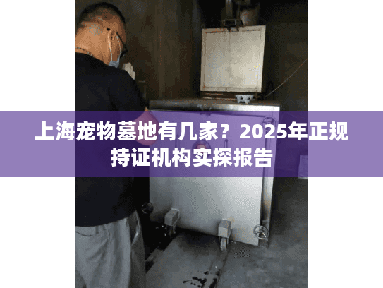 上海宠物墓地有几家？2025年正规持证机构实探报告