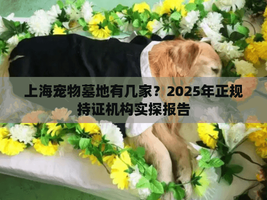上海宠物墓地有几家？2025年正规持证机构实探报告