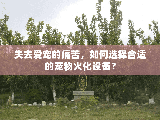 失去爱宠的痛苦，如何选择合适的宠物火化设备？