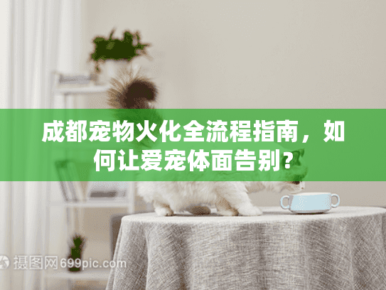 成都宠物火化全流程指南，如何让爱宠体面告别？