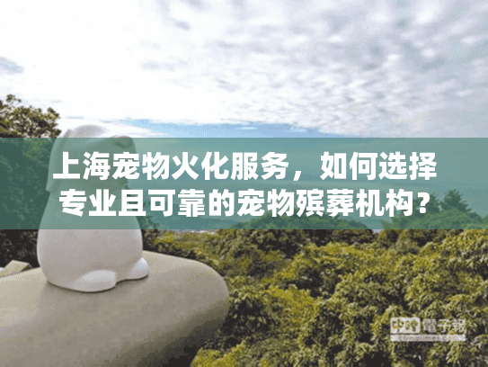 上海宠物火化服务，如何选择专业且可靠的宠物殡葬机构？