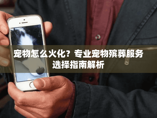 宠物怎么火化？专业宠物殡葬服务选择指南解析